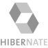 Logo grigio Hibernate