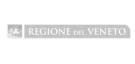 regione_veneto_grigio_2